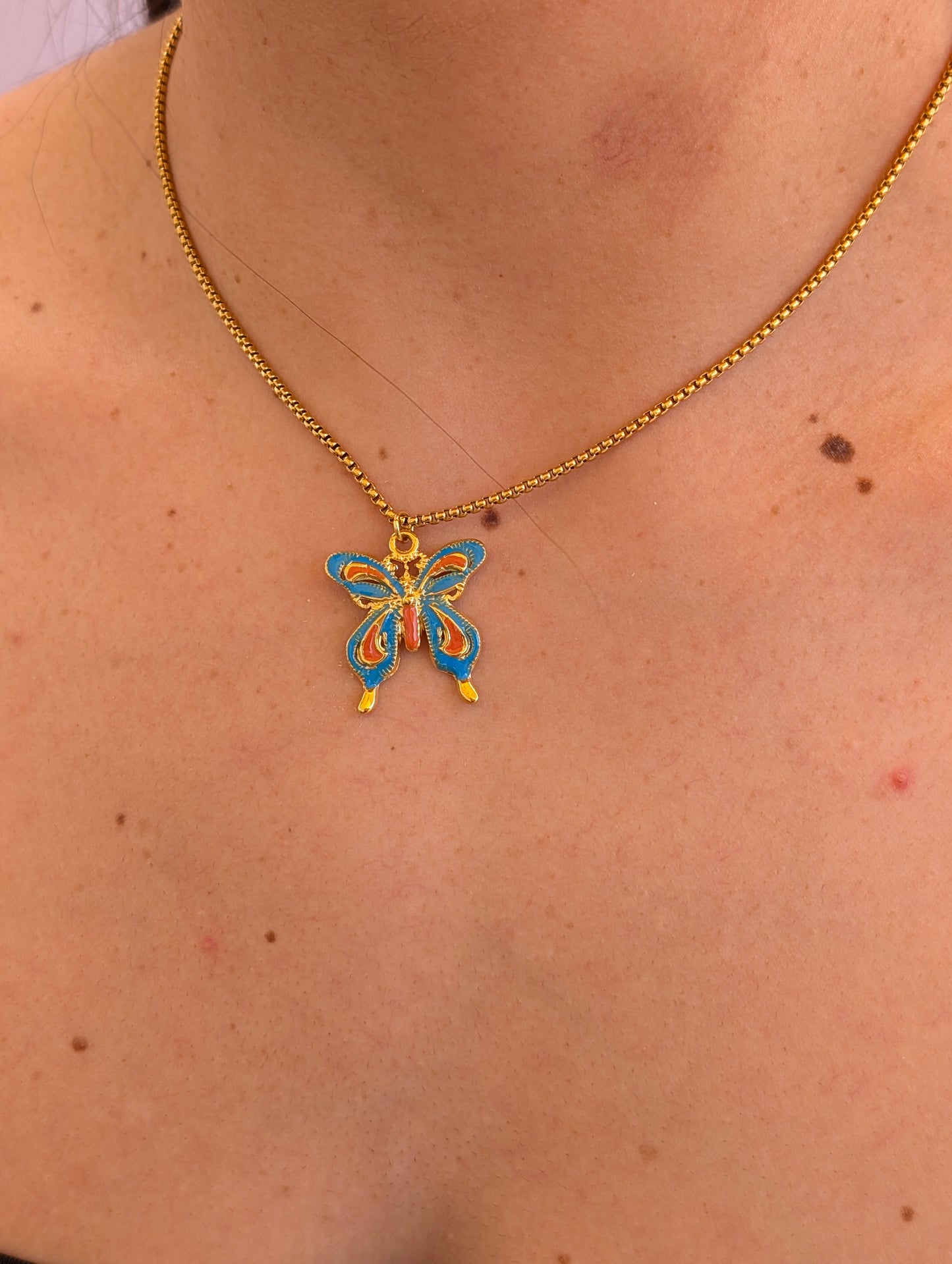 Butterfly